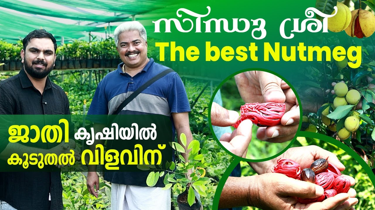 Paulson Nirappel Nursery Founder